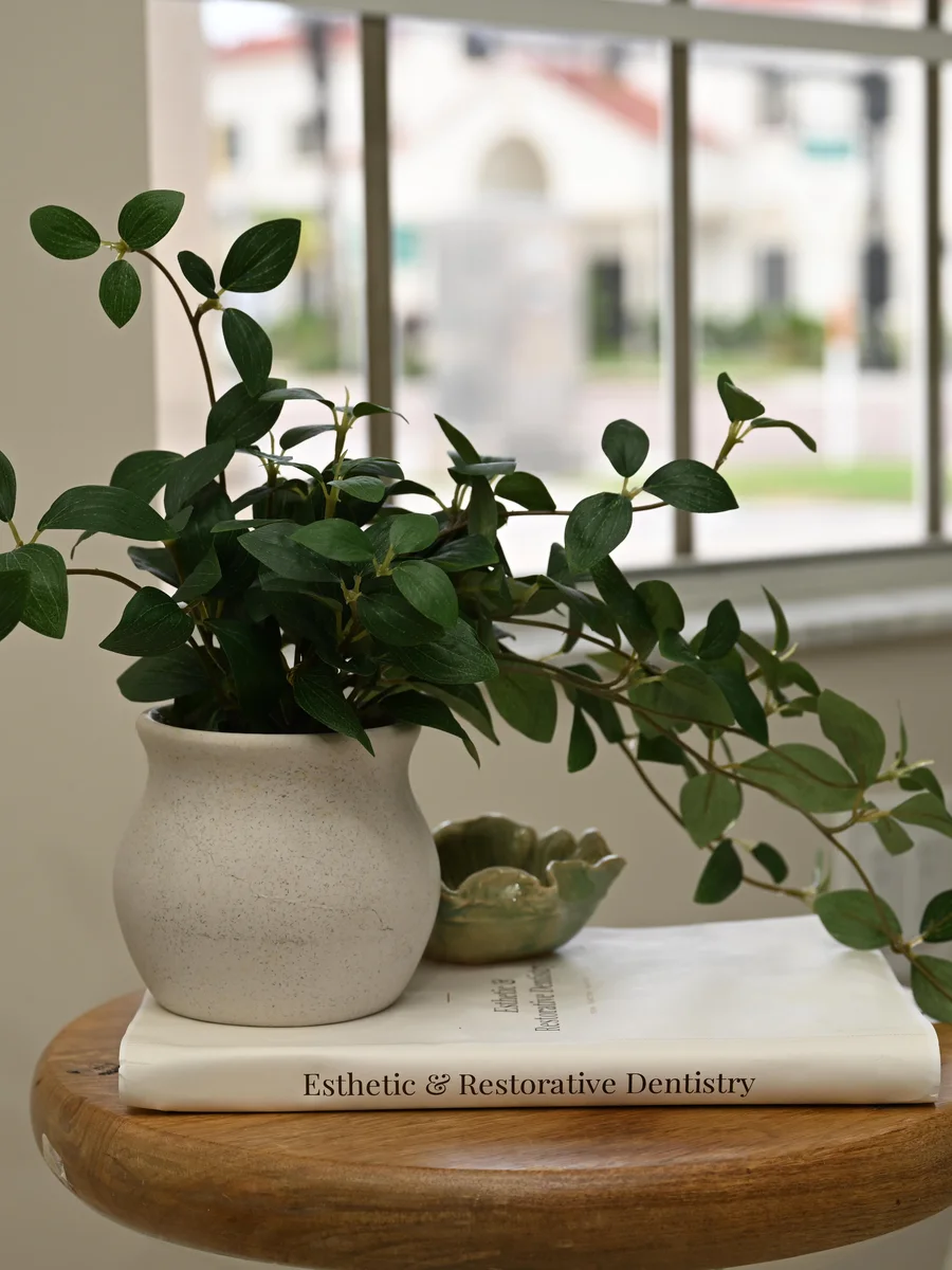 Plant and Esthetic & Restorative Dentistry book on a side table by the window at Smile Spot Dentistry — Venice, Florida