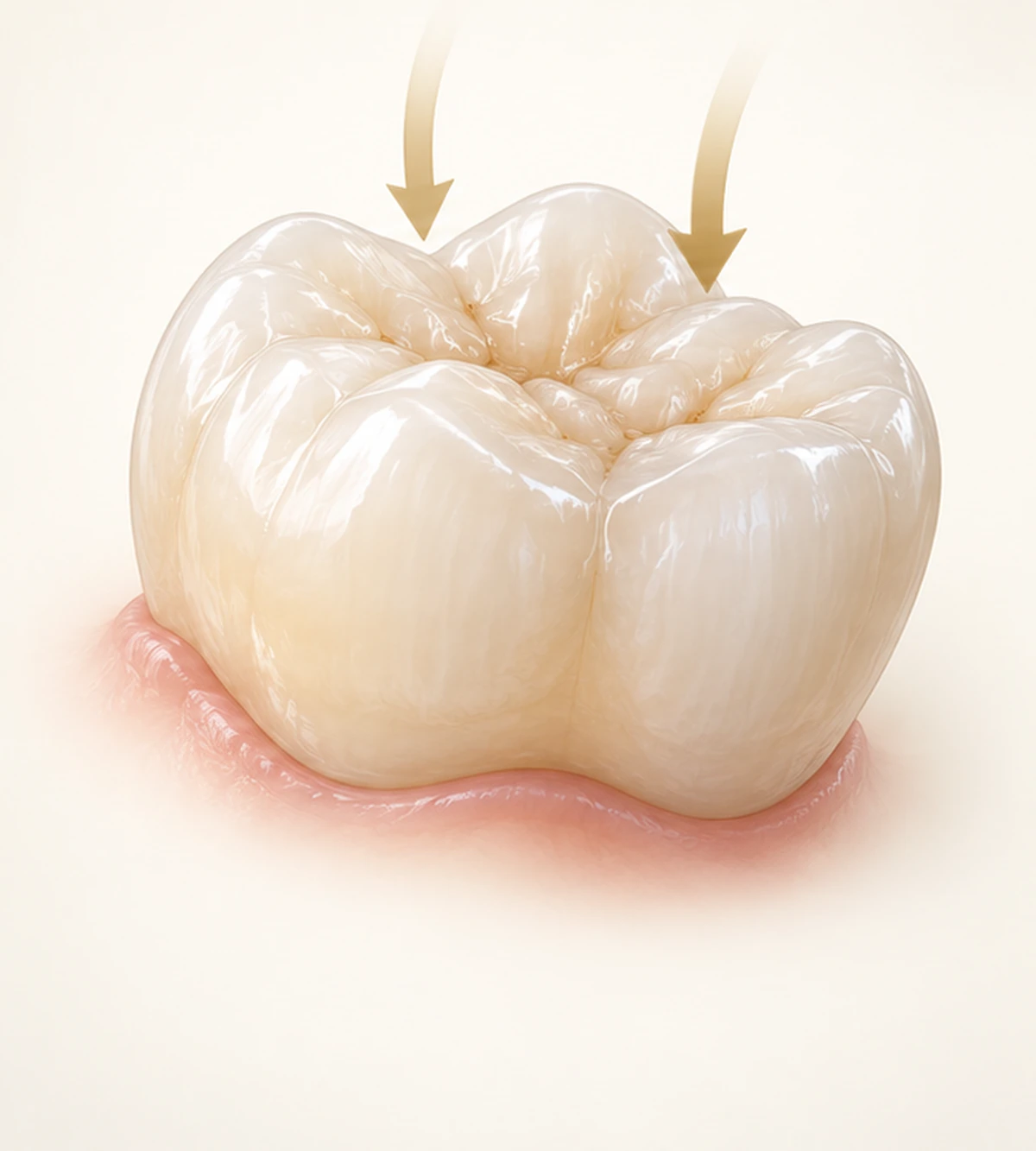 Illustration of a monolithic zirconia molar crown withstanding bite forces